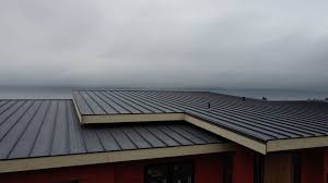 Best Steel Roofing  in Morehead City, NC